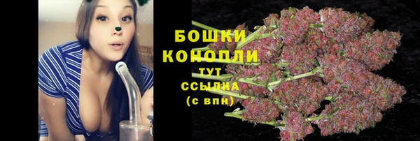 ALPHA-PVP Бородино
