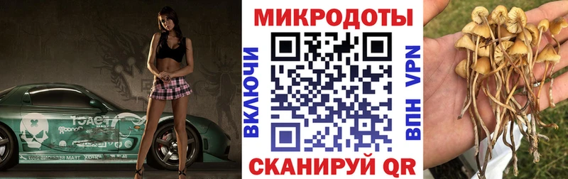 Галлюциногенные грибы прущие грибы  Находка 